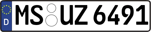 MS-UZ6491