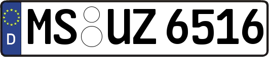 MS-UZ6516