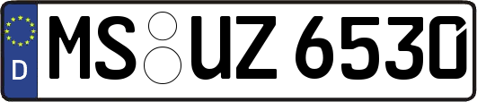 MS-UZ6530
