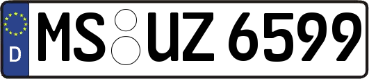 MS-UZ6599