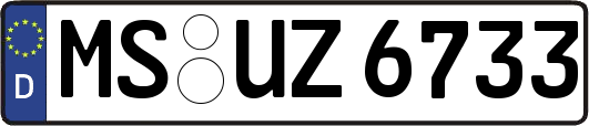 MS-UZ6733