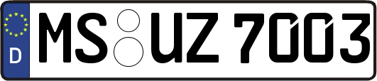 MS-UZ7003