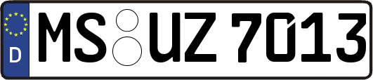 MS-UZ7013