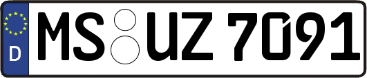 MS-UZ7091