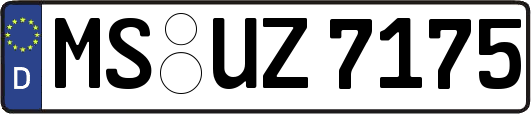 MS-UZ7175