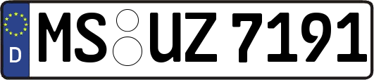 MS-UZ7191