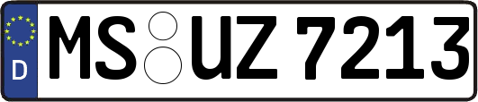 MS-UZ7213
