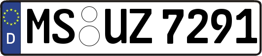 MS-UZ7291