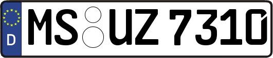 MS-UZ7310