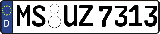 MS-UZ7313