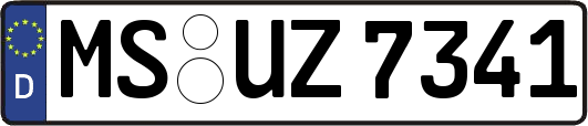 MS-UZ7341