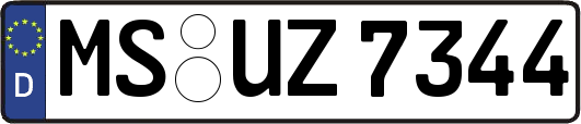 MS-UZ7344