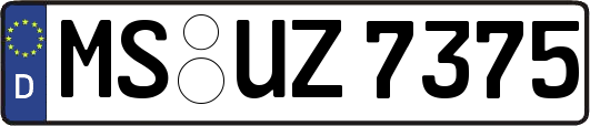 MS-UZ7375
