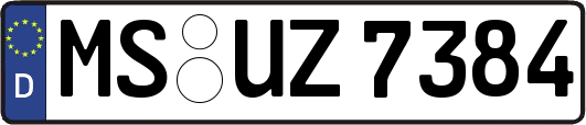 MS-UZ7384