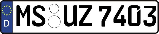MS-UZ7403