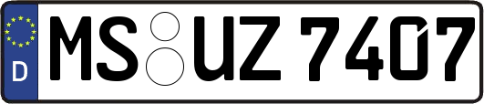 MS-UZ7407