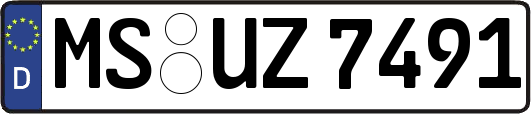 MS-UZ7491