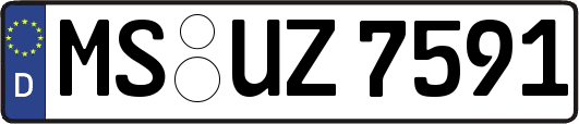 MS-UZ7591