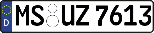 MS-UZ7613