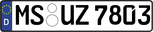 MS-UZ7803
