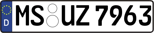 MS-UZ7963