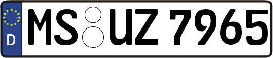 MS-UZ7965