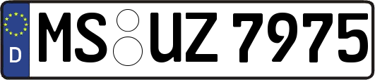 MS-UZ7975