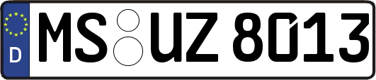 MS-UZ8013