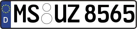 MS-UZ8565