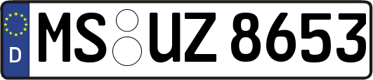 MS-UZ8653