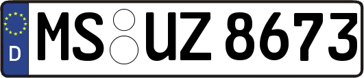 MS-UZ8673
