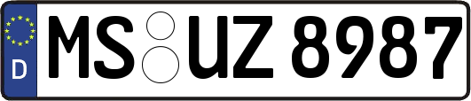 MS-UZ8987