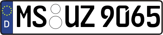 MS-UZ9065