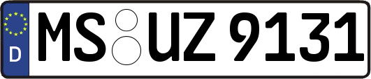 MS-UZ9131