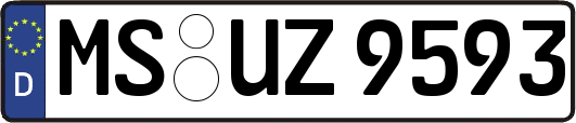 MS-UZ9593