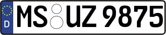 MS-UZ9875