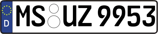 MS-UZ9953