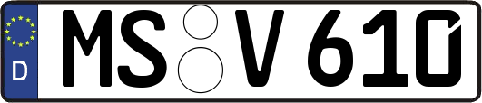 MS-V610