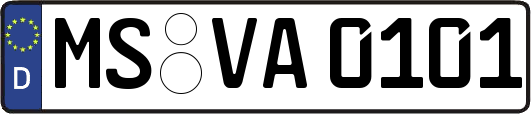 MS-VA0101