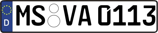 MS-VA0113