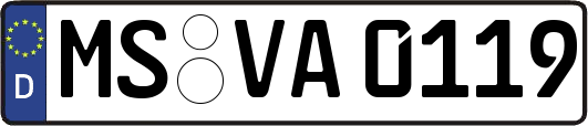 MS-VA0119