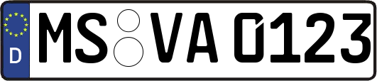 MS-VA0123