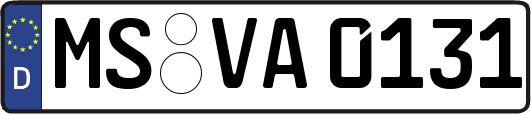 MS-VA0131
