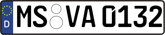 MS-VA0132