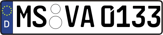 MS-VA0133