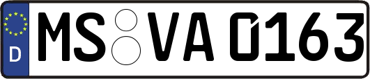 MS-VA0163