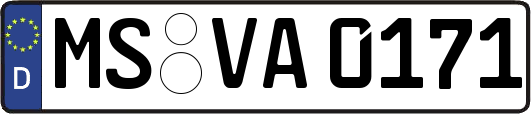 MS-VA0171
