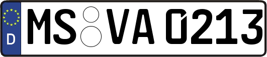 MS-VA0213
