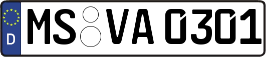 MS-VA0301