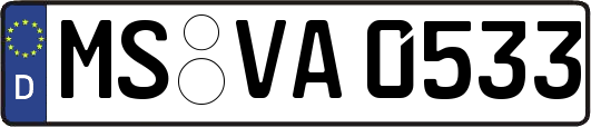 MS-VA0533